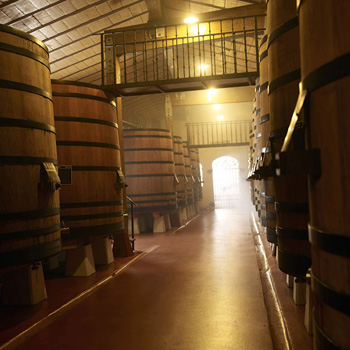 Refrigeración de bodegas